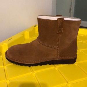 NIB UGG unlined classic mini boots